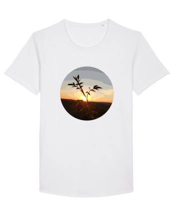 Photo Illustration - macro in the sunset 8 White