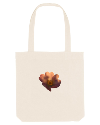 Photo Illustration - wild flower Natural