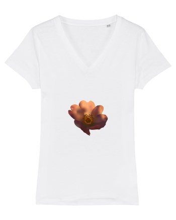 Photo Illustration - wild flower White