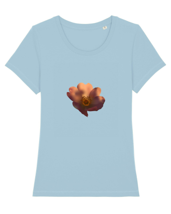 Photo Illustration - wild flower Sky Blue