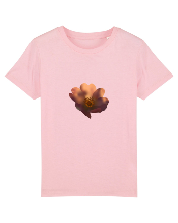 Photo Illustration - wild flower Cotton Pink
