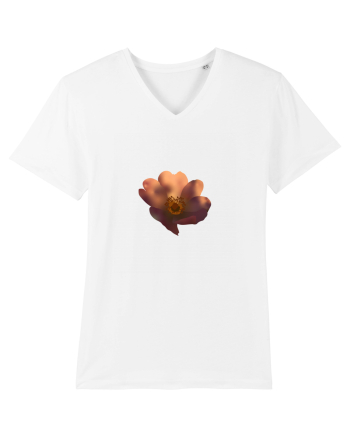Photo Illustration - wild flower White