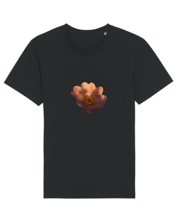 Photo Illustration - wild flower Black