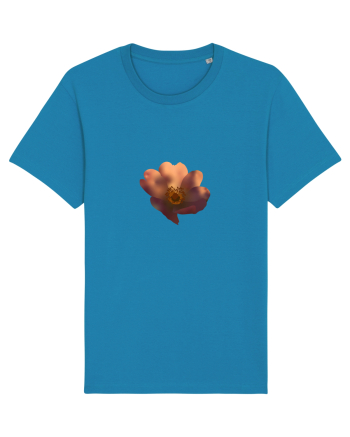 Photo Illustration - wild flower Azur