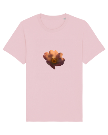 Photo Illustration - wild flower Cotton Pink