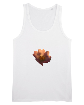 Photo Illustration - wild flower White