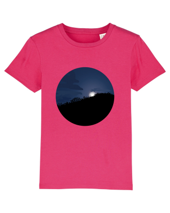 Photo Illustration - moon behind dark forest Raspberry