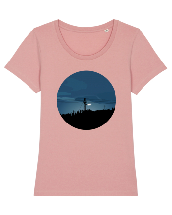 Photo Illustration - wild street light  Canyon Pink