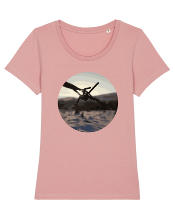 Photo Illustration - wire fence Canyon Pink