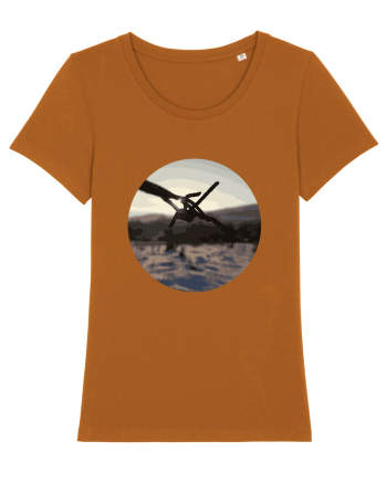 Photo Illustration - wire fence Roasted Orange