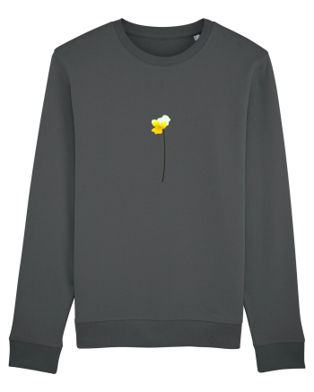 Photo Illustration - yellow flower Anthracite