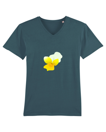 Photo Illustration - yellow flower 2 Stargazer