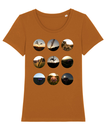 Photo Illustration - macros in the sky Roasted Orange