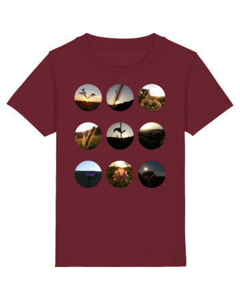 Photo Illustration - macros in the sky Burgundy
