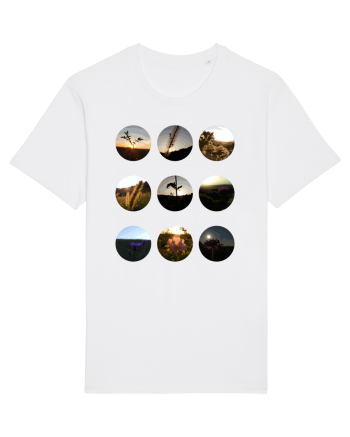 Photo Illustration - macros in the sky White