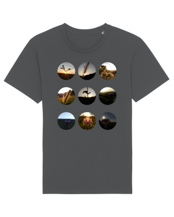 Photo Illustration - macros in the sky Anthracite