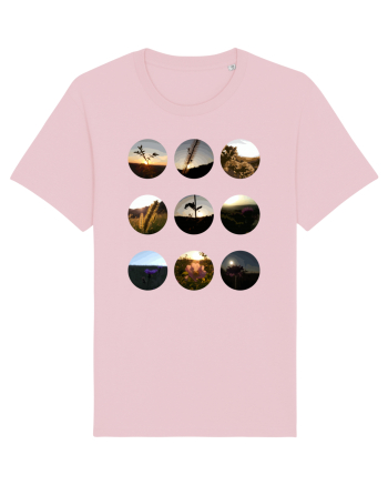 Photo Illustration - macros in the sky Cotton Pink