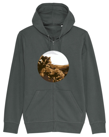 Photo Illustration - low-fi spring Anthracite