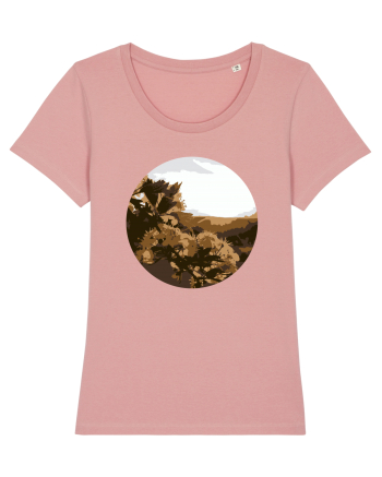 Photo Illustration - low-fi spring Canyon Pink