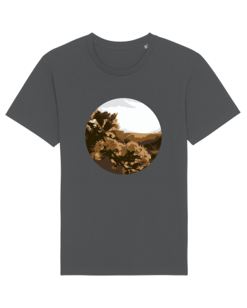 Photo Illustration - low-fi spring Anthracite