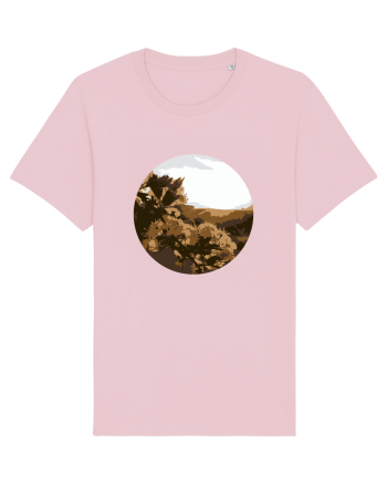 Photo Illustration - low-fi spring Cotton Pink