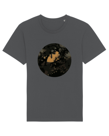Photo Illustration - low-fi spring 2 Anthracite
