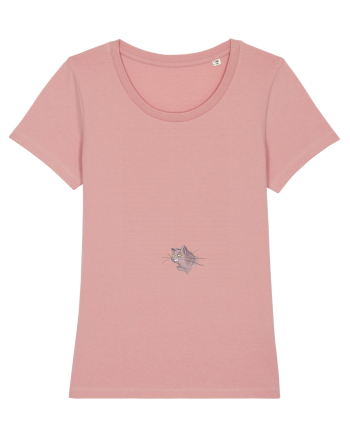 Weird cat Canyon Pink