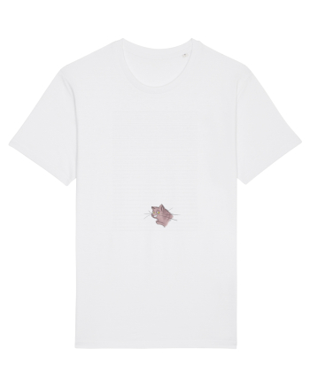 Weird cat White