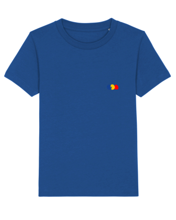 Tricolorul 6. Majorelle Blue