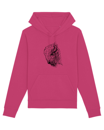 Zimbrul / Bourul 2. Raspberry