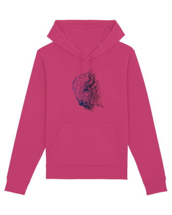 Zimbrul / Bourul 3. Raspberry