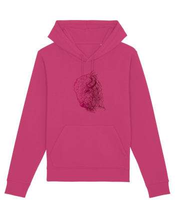 Zimbrul / Bourul 4. Raspberry