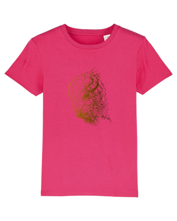 Zimbrul / Bourul 5. Raspberry