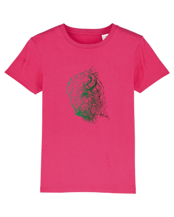 Zimbrul / Bourul 6. Raspberry