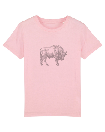 Zimbrul / Bourul 9. Cotton Pink