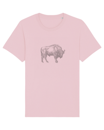 Zimbrul / Bourul 9. Cotton Pink