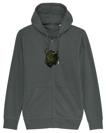 Zimbrul / Bourul 13. Anthracite