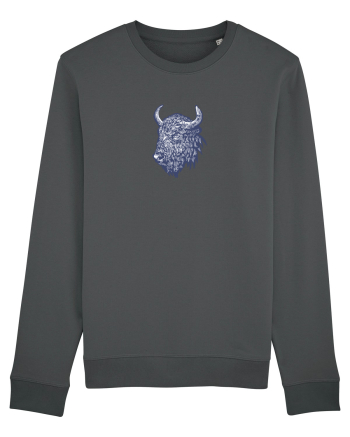 Zimbrul / Bourul 14. Anthracite