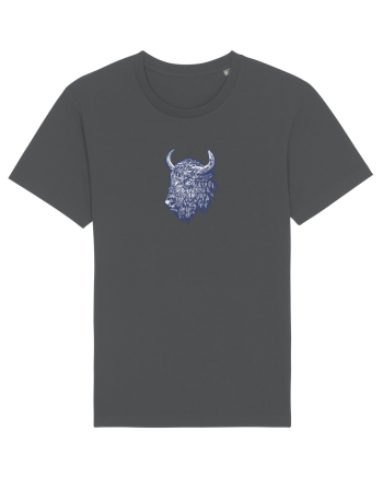 Zimbrul / Bourul 14. Anthracite