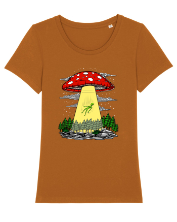 Alien Abduction Magic Mushroom Psychedelic Roasted Orange