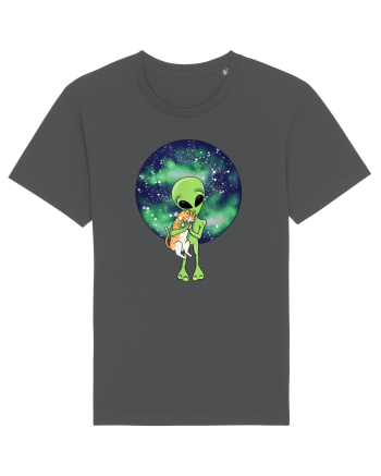 Alien and the Cat Anthracite