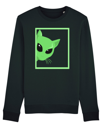 Alien Cat Peeking Black