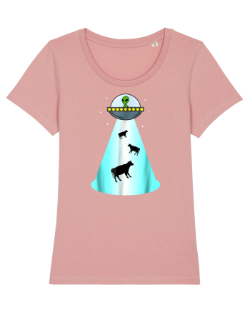 Alien UFO Cow Abduction Canyon Pink