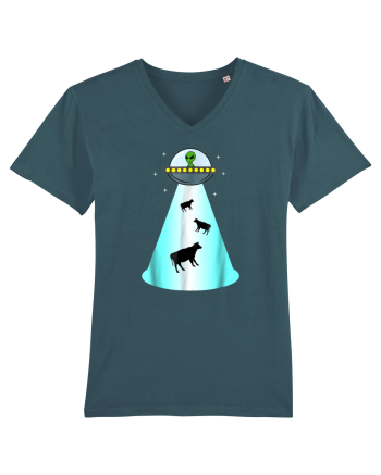 Alien UFO Cow Abduction Stargazer