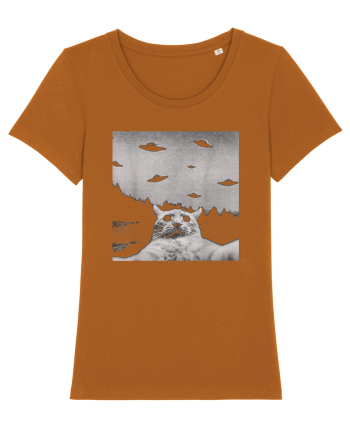 Alien UFO Funny Cat Roasted Orange