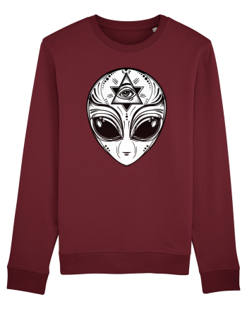 Alien with All Seeing Eye Illuminati Burgundy