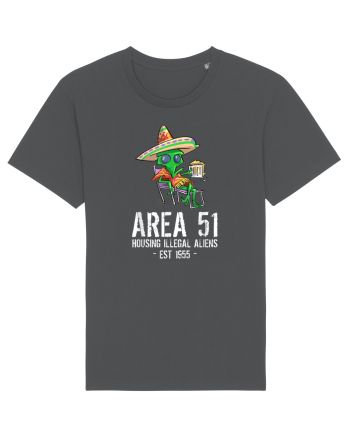 Drunk Illegal Alien Cinco De Mayo Anthracite