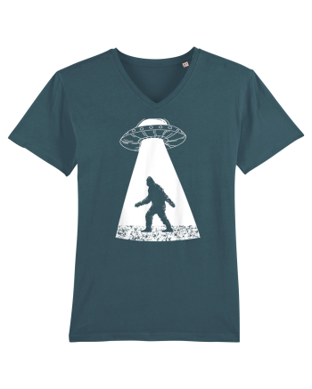 Bigfoot UFO Abduction Stargazer