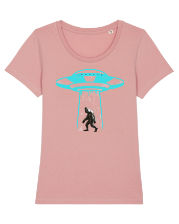 Bigfoot UFO Abduction Canyon Pink