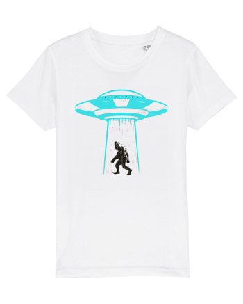 Bigfoot UFO Abduction White
